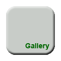 Gallery button